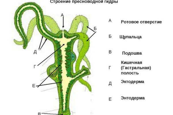 Kraken 13 at ссылка