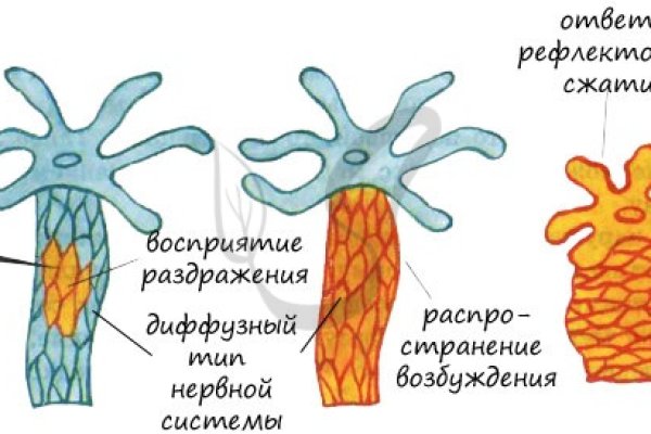 Kra30.at