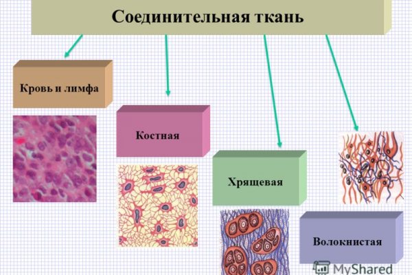 Украли аккаунт на кракене что делать