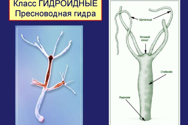 Кракен не работает